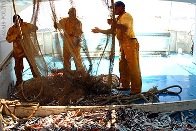 azais-polito-conserverie-artisanal-sete-tradition-heritage-05